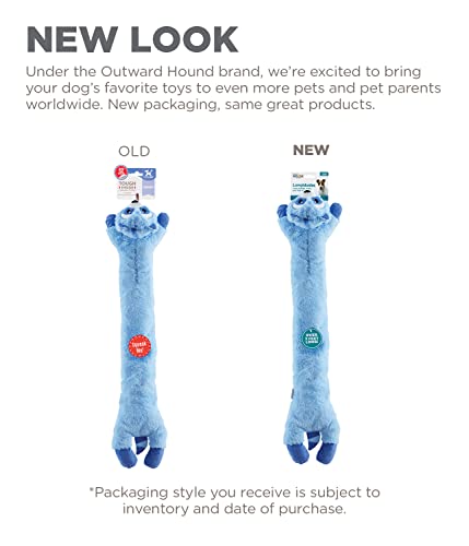 Charming Pet Longidudes Raccoon Plush and Squeaky Dog Tug Toy