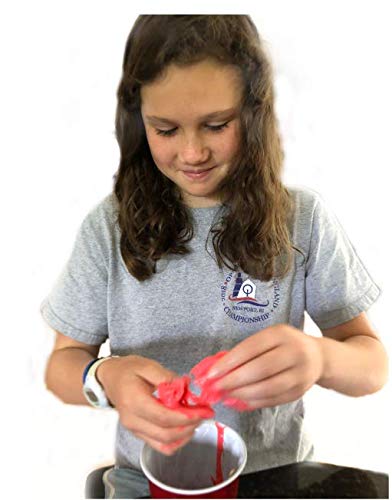 The Magic School Bus Rides Again Diving into Slime, Gel, and Goop