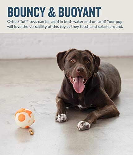 Planet Dog Orbee-Tuff Durable Chew-Fetch Ball Dog Toys
