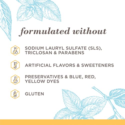 Burt’s Bees Extra White Toothpaste, Fluoride Toothpaste, Natural Flavor, Mountain Mint, 4.7 oz, Pack of 3