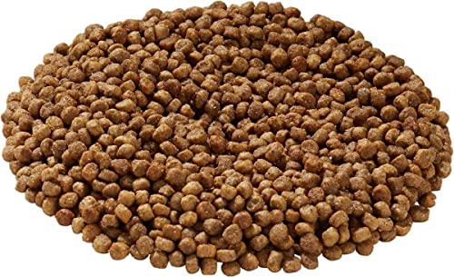 Health Extension Little Bites Dry Dog Food, Natural Food with Added Vitamins and Minerals, Suitable for Teacup, Toy and Miniature Dogs, Chicken and Brown Rice Recipe (10 Pound / 4.5 Kg)