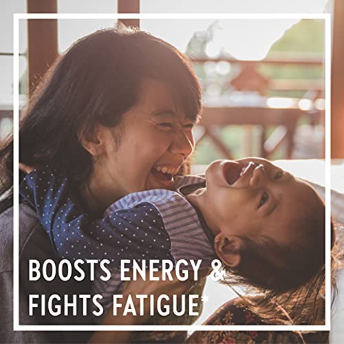 Iron Supplement, New Chapter Fermented Iron Complex with Organic Whole-Food Ingredients + One Daily Non-Constipating Dose- 60 Count (Pack of 1), 2 Month Supply