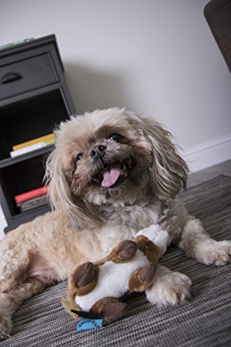 GoDog Wildlife Chipmunk Small Toy with Chew Guard