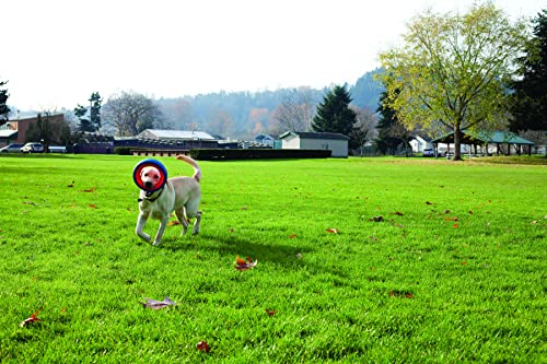 Chuckit! Rugged Fetch Wheel Dog Toy