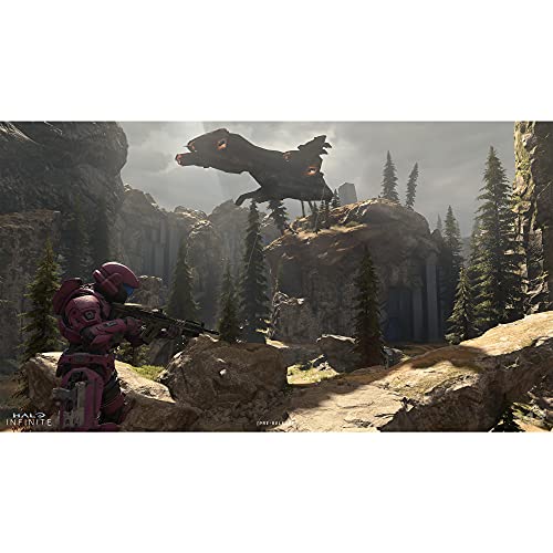 Halo Infinite: Standard Edition – Xbox Series X and Xbox One