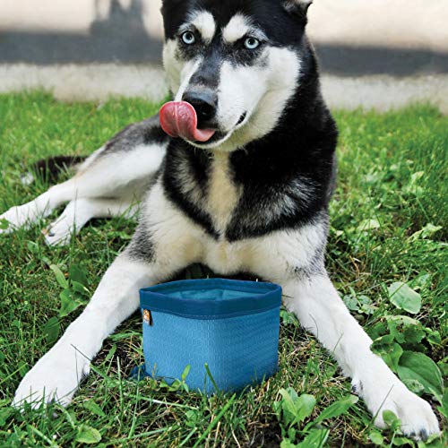 Kurgo Zippy Bowl, Collapsible Travel Dog Bowl, Pet Food and Hiking Water Bowl, Machine Washable Bowl for Dogs, Travel Accessories for Pets, BPA Free, Carabiner,Red