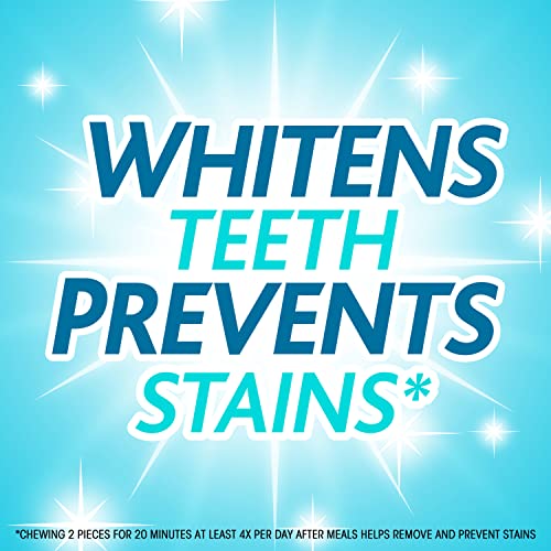 Trident White Wintergreen Sugar Free Gum, 9 Packs of 16 Pieces (144 Total Pieces)