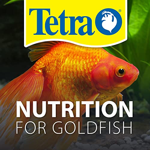 Tetra TetraFin Goldfish Flakes 4.52 Pound Bucket, Balanced Diet