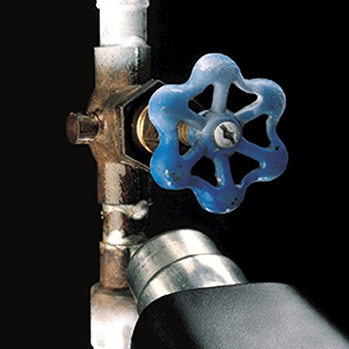 Wagner Spraytech 0503008 HT1000 Heat Gun, 2 Temp Settings 750ᵒF and 1000ᵒF, Great for Soften paint, Caulking, Adhesive, Putty Removal, Shrink Wrap, Bend Plastic Pipes, Loosen Rusted Nuts or Bolts