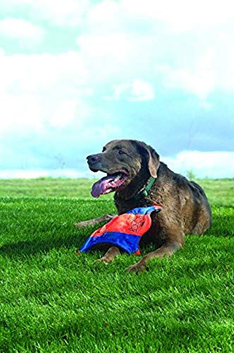 Chuckit! Flying Squirrel Spinning Dog Toy, Large (Orange/Blue), Multi Colored, for Medium breeds