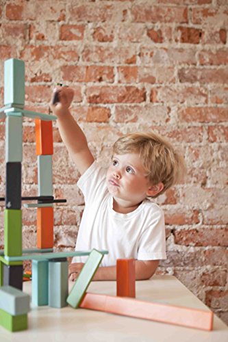 8 Piece Tegu Pocket Pouch Magnetic Wooden Block Set, Nelson