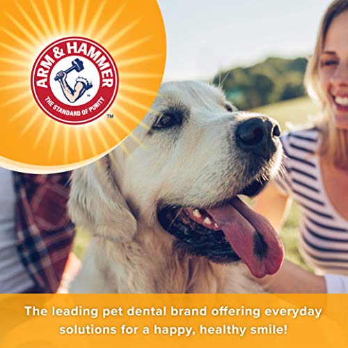 Arm and Hammer for Pets Tartar Control Dental Spray for Dogs | Dog Dental Spray Reduces Plaque and Tartar Buildup Without Brushing | Mint Flavor, 4 Ounces