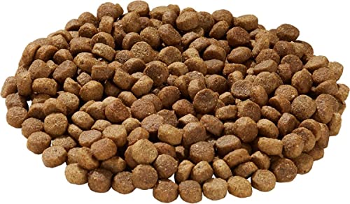 Health Extension Dry Dog Food, Natural Food with Added Vitamins and Minerals, Suitable for Puppies and Dogs, Original Chicken and Brown Rice Recipe (15 Pound / 6.8 kg)