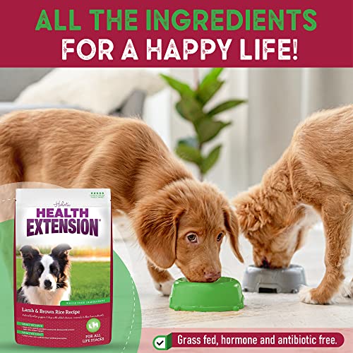 Health Extension Dry Dog Food, Natural Food for All Puppies and Dogs with Added Vitamins and Mineral, Lamb and Brown Rice Recipe (15 Pound / 9.07 Kg)