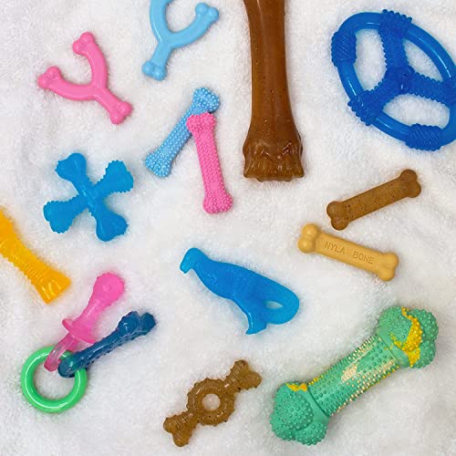 Nylabone Puppy Chew Ring Bone Chicken Medium/Wolf (1 Count)