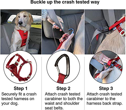 Kurgo Dog Harness | Car Harness for Dogs | Extra Small | Black | Pet Safety Seat Belt | Certified Crash Tested Harness | Car Seatbelt | Tru-Fit Enhanced Strength Style