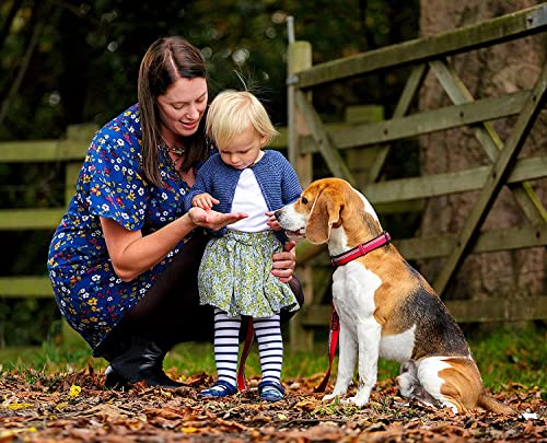 The Company of Animals - Halti Collar (18' - 26'), Large, Red