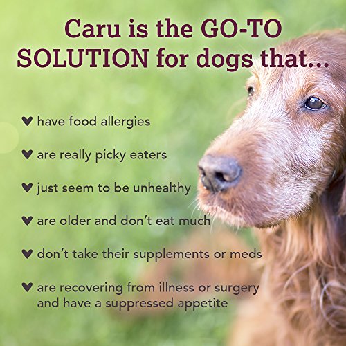 Caru Real Beef Stew for Dogs, Natural Adult Wet Dog Food with Added Vitamins and Minerals, Free From Grain, Wheat and Gluten (Pack of 12)