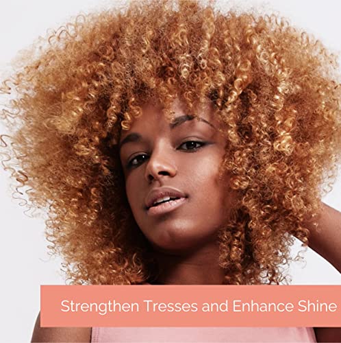 GIOVANNI Eco Chic 50:50 Balanced Hydrating Clarifying Shampoo - Leaves Hair pH Balanced for Over-Processed Hair, Provides Moisture and Protection, Salon Quality, No Parabens, Color Safe - 8.5 oz