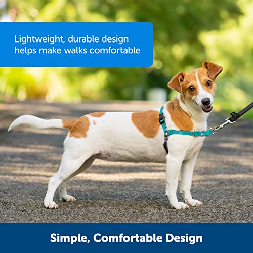 PetSafe Easy Walk No-Pull Dog Harness - The Ultimate Harness to Help Stop Pulling - Take Control and Teach Better Leash Manners - Helps Prevent Pets Pulling on Walks - Large, Black/Silver