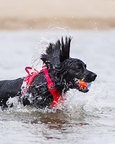 ChuckIt! Amphibious Fetch Balls, Set of 3