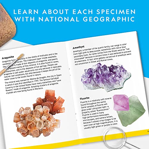 NATIONAL GEOGRAPHIC Mega Gemstone Dig Kit – Dig Up 15 Real Gemstones and Crystals, STEM Activities for Kids, Gem Mining Kit, Great Educational Science Gift for Girls and Boys (AMAZON EXCLUSIVE)
