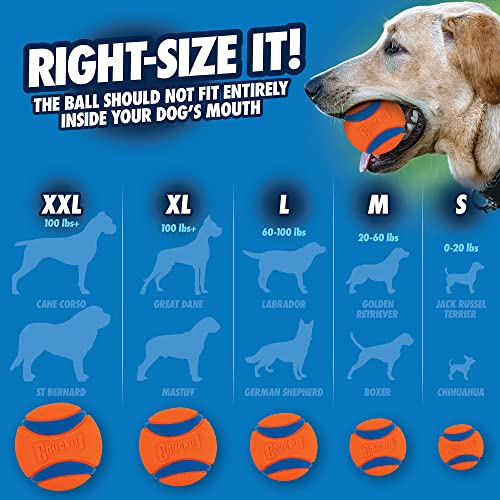 Chuckit Ultra Ball Dog Toy, Small (2 Inch Diameter), Pack of 2, for Breeds 0-20 lbs