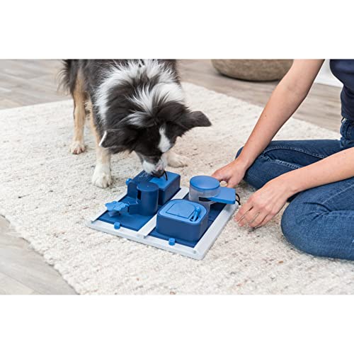 TRIXIE Dog Activity Poker Box 2 Strategy Game, Level 2, Dog Puzzle Toy, Dog Treat Puzzle, Interactive Play, Enrichment Toys, Slow Feeder