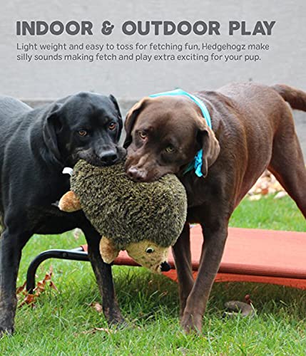 Outward Hound Hedgehogz Plush Dog Toy, Medium