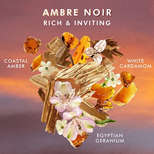 Moroccanoil Hand Cream Ambre Noir 3.4 Fl Oz, 3.4 Fl Oz