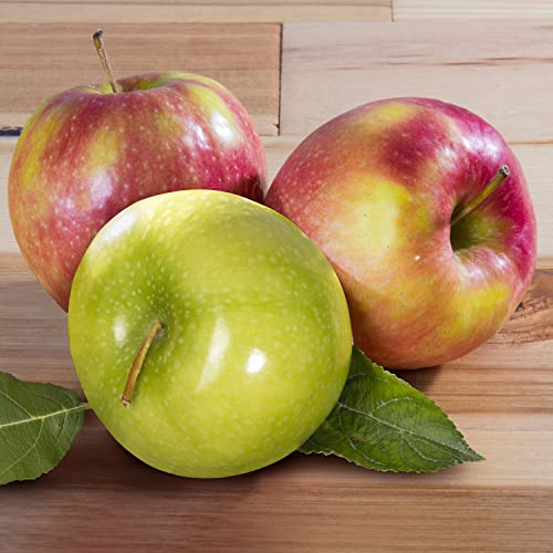 Golden State Fruit Thank You Fruit Basket with Cheese and Nuts