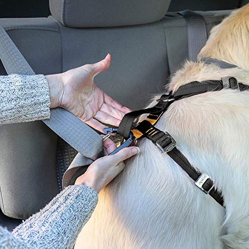 Kurgo Dog Harness | Car Harness for Dogs | Extra Small | Black | Pet Safety Seat Belt | Certified Crash Tested Harness | Car Seatbelt | Tru-Fit Enhanced Strength Style