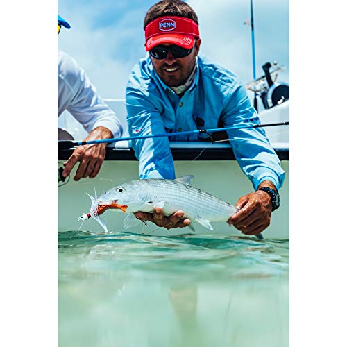 Penn 5.1:1 Gear Ratio 29' Retrieve Rate Rival Level Wind Conventional 20 Reel, Right Hand