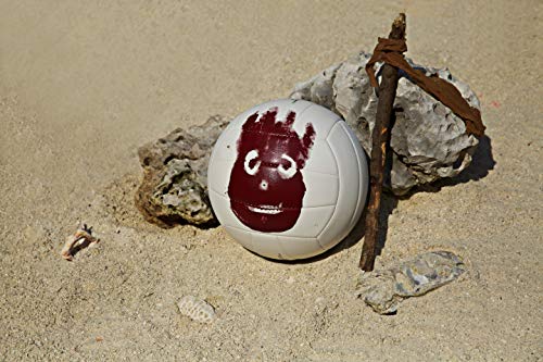 WILSON Cast Away Volleyball, White, Official