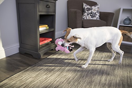 goDog Checkers Flying Pig Dog Toy, Chew Guard Technology, Durable Plush, Squeaker Dog Toy, Pink, Small (770104)