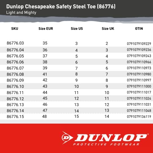 Dunlop Protective Footwear Tools Modern industrial and construction boots, Black, 10 US