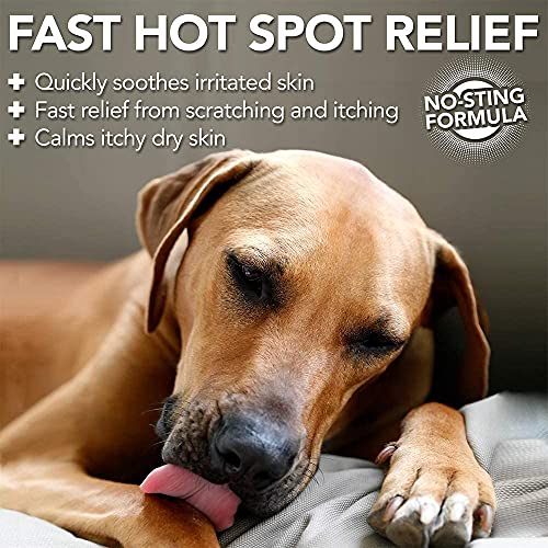 Vet’s Best Dog Hot Spot Itch Relief Spray | Relieves Dog Dry Skin, Rash, Scratching, Licking, Itchy Skin, and Hot Spots | No-Sting and Alcohol Free | 8 Ounces