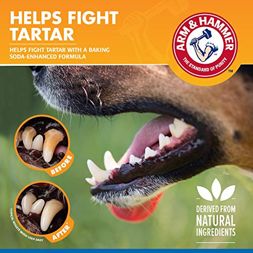 Arm and Hammer for Pets Tartar Control Dental Spray for Dogs | Dog Dental Spray Reduces Plaque and Tartar Buildup Without Brushing | Mint Flavor, 4 Ounces