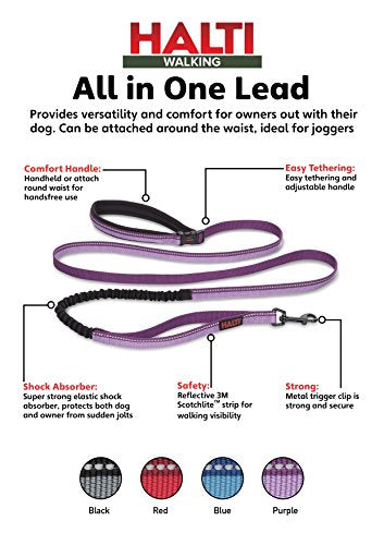 The Company of Animals - Halti All-In-One Lead (6' 6'), Large, Purple, Halti All-In-One-Leash Purple Large