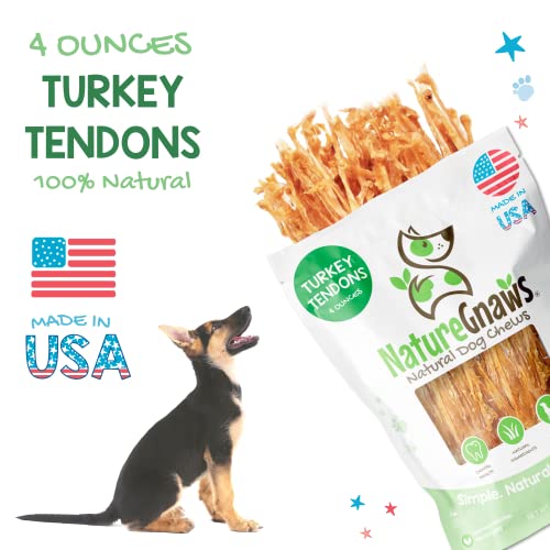 Nature Gnaws USA Turkey Tendons for Dogs - Premium Natural Chew Treats for Dogs - Delicious Reward Snack for Small Medium and Large Dogs - Made in The USA 4 oz Bag