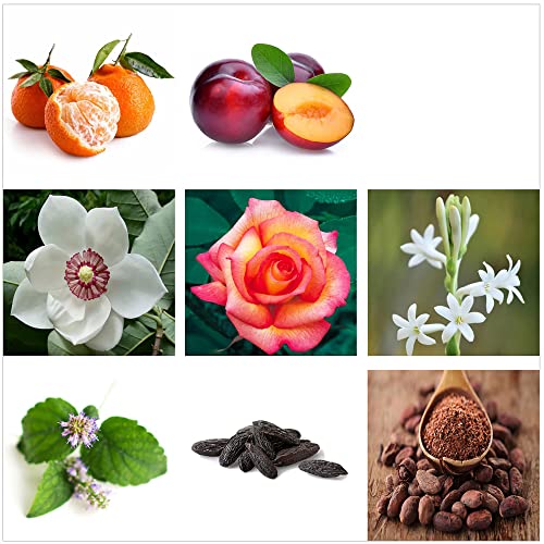 RACHEL ZOE Warrior Eau de Parfum Spray, Perfectly Balanced Feminine Perfume for Women, Awaken the Senses with a Lasting Signature Designer Scent, 3.4 Fl Oz