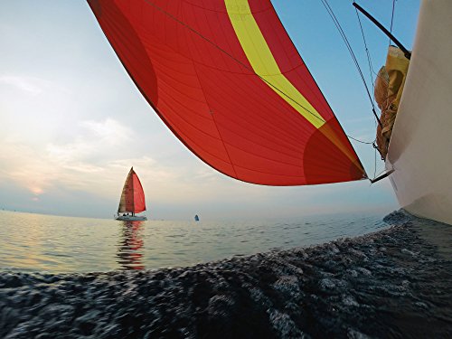 GoPro Suction Cup Mount (Official), Black