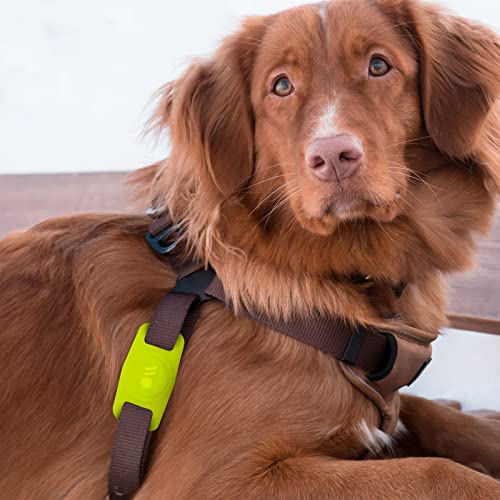 Case-Mate Airtag Dog Collar Holder - Water Resistant Airtag Holder Dog Tag - Lightweight, Protective Airtag Case for Dog Collar - Pet Collar Airtag Loop - Compatible w/Cat/Dog Collars - Lime Green