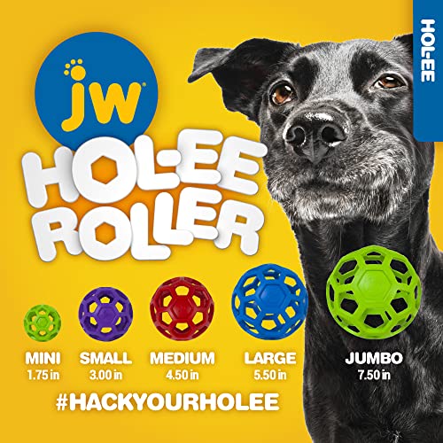 JW Hol-ee Roller Dog Fetch Treat Dispenser Puzzle Ball; Large 5.5 Inch Diameter