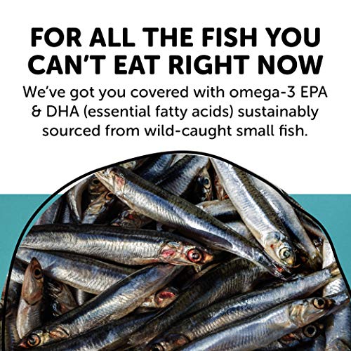 SmartyPants Prenatal Vitamins for Women with DHA and Folate - Daily Gummy Multivitamin: Vitamin C, B12, D3, Zinc for Immunity and Omega 3 Fish Oil, 80 Count (20 Day Supply)