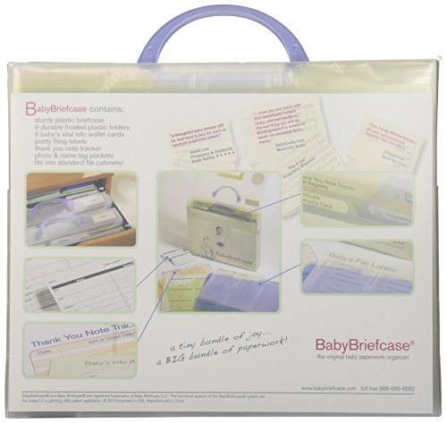 Baby Briefcase Baby Paperwork Organizer, Mint/Periwinkle