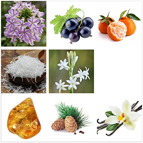 RACHEL ZOE Fearless Eau de Parfum Spray, Perfectly Balanced Feminine Perfume for Women, Awaken the Senses with a Lasting Signature Designer Scent