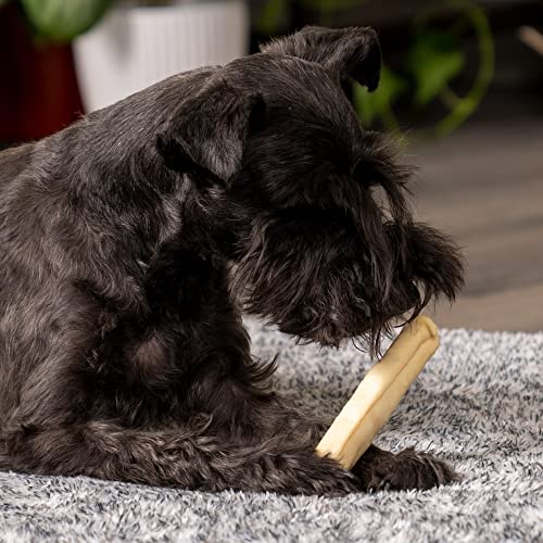 Pet Factory 100% Made in USA Beefhide 5' Chip Rolls Dog Chew Treats - Natural Flavor, 22 Count/1 Pack