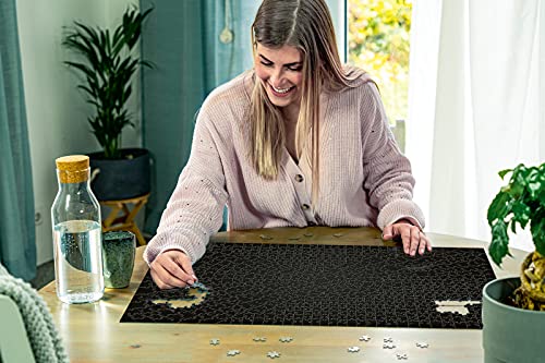 Ravensburger Krypt Black 15260 736 Piece Puzzle for Adults, Every Piece is Unique, Softclick Technology Means Pieces Fit Together Perfectly,27' x 20'
