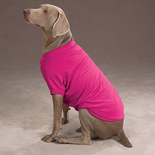 Zack and Zoey Cotton Polo Shirt for Dogs, 24' X-Large, Raspberry Sorbet
